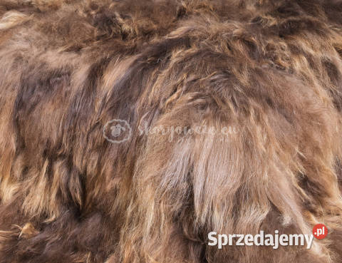 Narzuta ze skóry owczej islandzkiej ruda 180x200 Szaflary