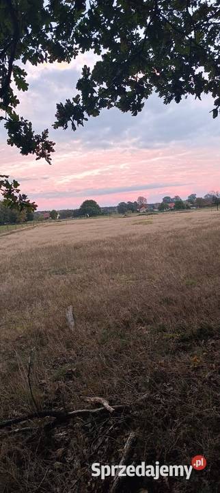 Działki z warunkami zabudowy NOWOGARD CZERMNICA budowlana Sprzedaż zachodniopomorskie