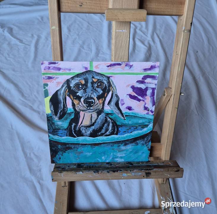 Obraz jamnik jamniczek artysty na prezent na Brzesko