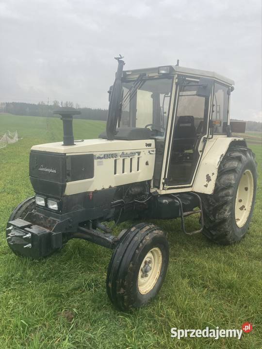 Lamborghini 87490 Borowie