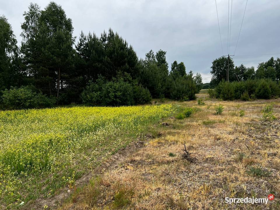 Działka budowlana Łąkie