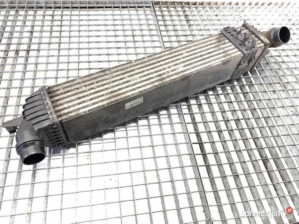 INTERCOOLER RENAULT LAGUNA III 144960001R 20 131 sprzedam