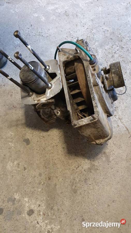 Sprzedam Dzika 21 Ursus 21 Magnuszewice