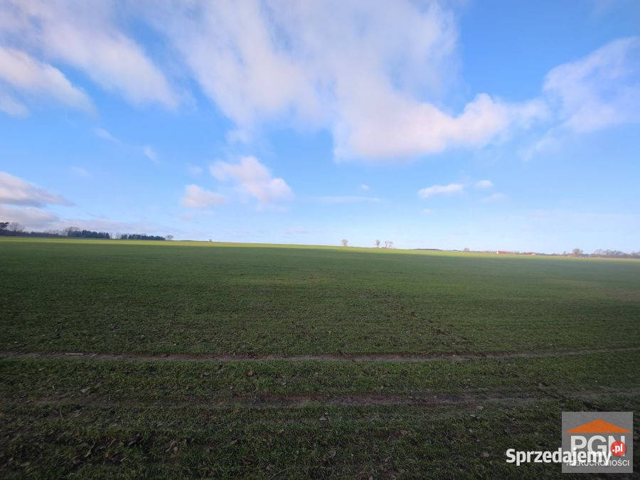 sprzedaży działki 1000m2 Połchowo woda sprzedam