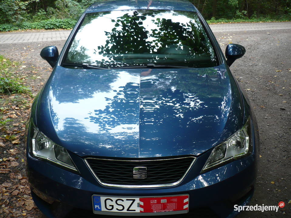 Seat Ibiza Piękny Kolor Przebieg 100 Orginał pomorskie Sztum