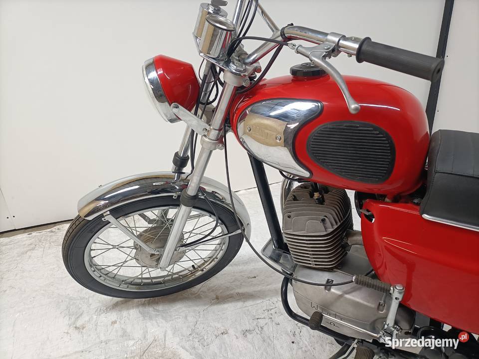 WSK 175 Export renowacji Padniewko