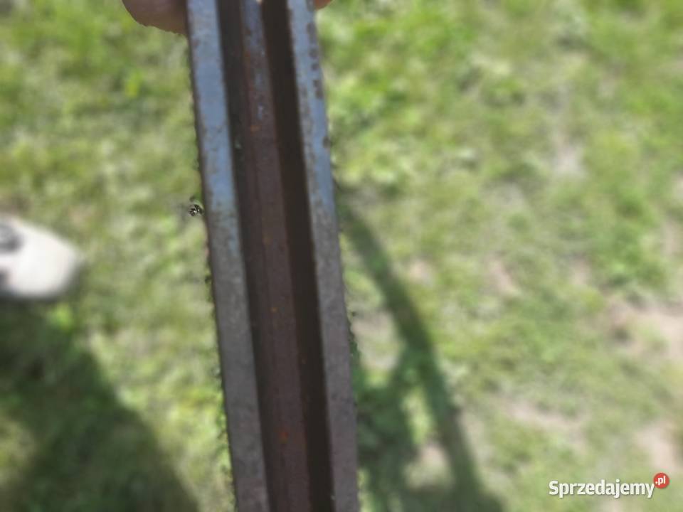 Wielkie Koło Pasowe Żeliwne Zamachowe 71 pod Rolnictwo Wólka Pełkińska sprzedam