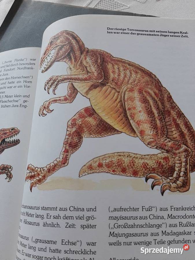 Dinosaurier grosse Buch Stronie Śląskie