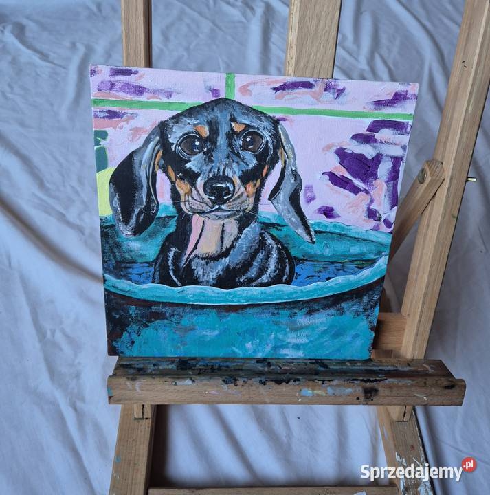 Obraz jamnik jamniczek artysty na prezent na Brzesko