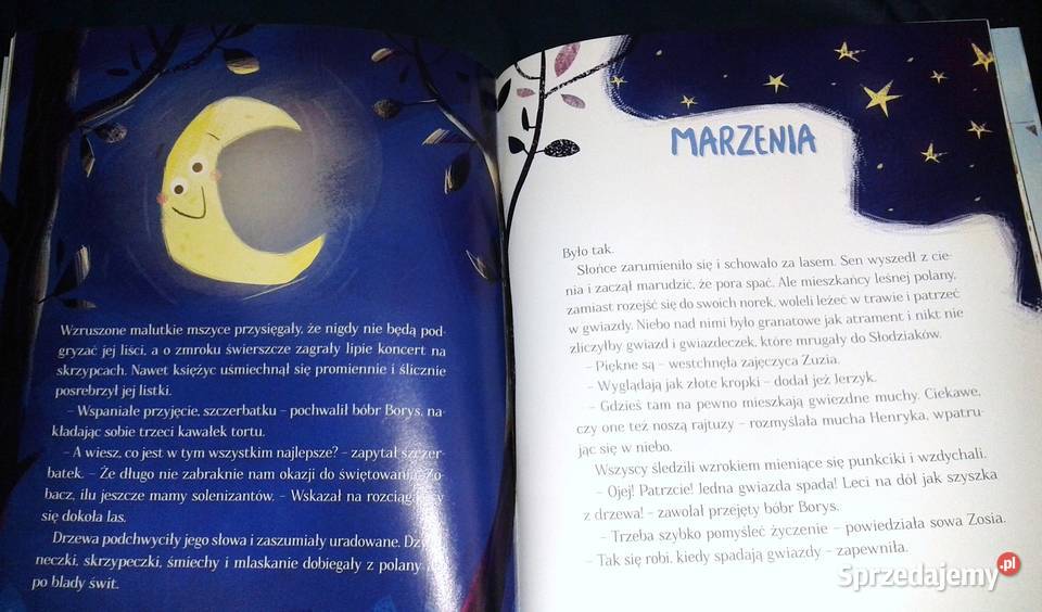 Zamieszanie na leśnej polanie czyli nowe Chełm