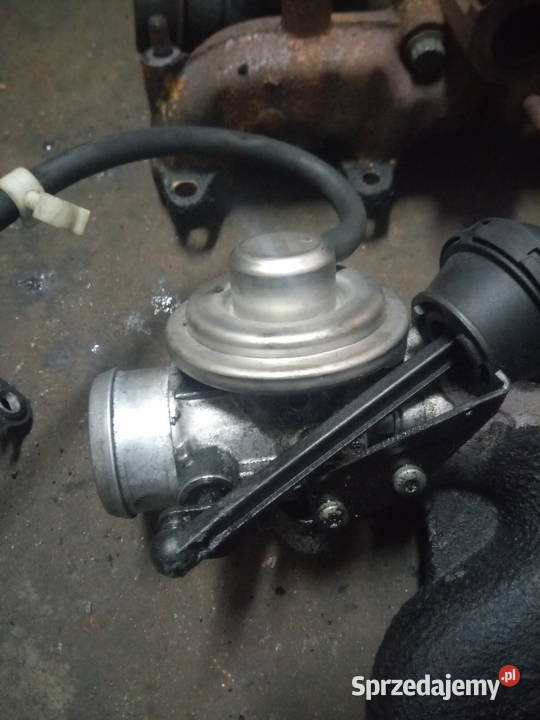 Silnik 14 tdi BMS AMF vw audi seat skoda części Myszków