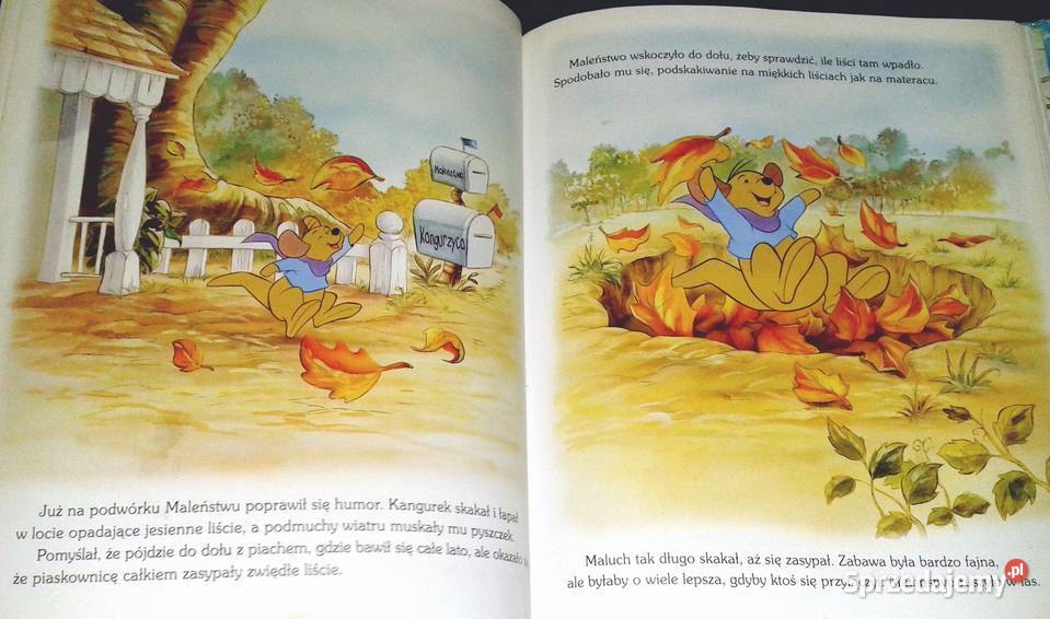 Cztery pory roku z Kubusiem Puchatkiem Marek Chełm