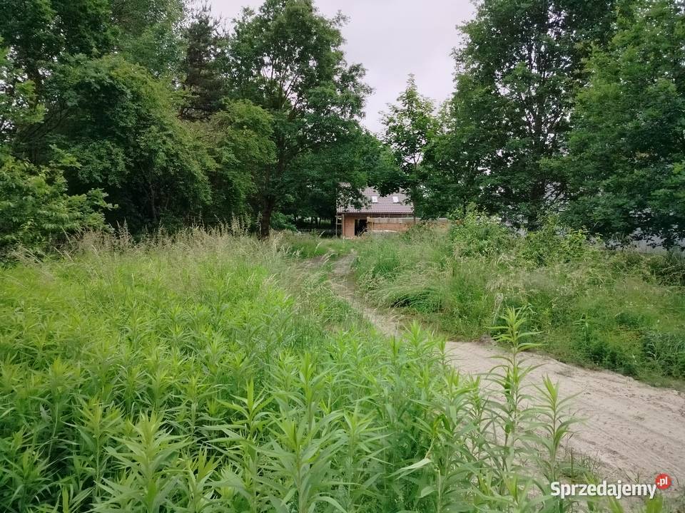 Działka budowlana centrum Niska 8 ar z warunkami