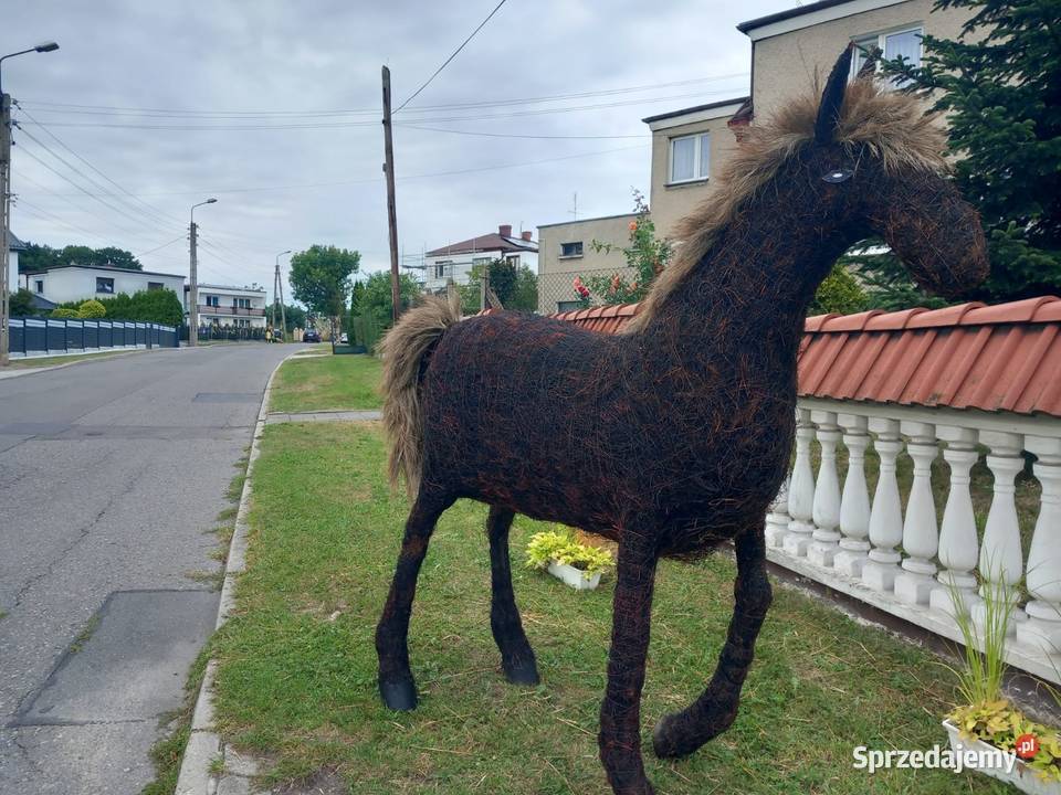 Konie na dożynki Racibórz