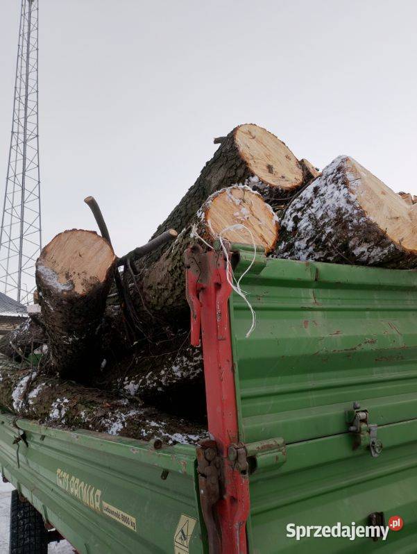 Drzewo olszyna paletówka paletowe opałowe łódzkie Korzenica