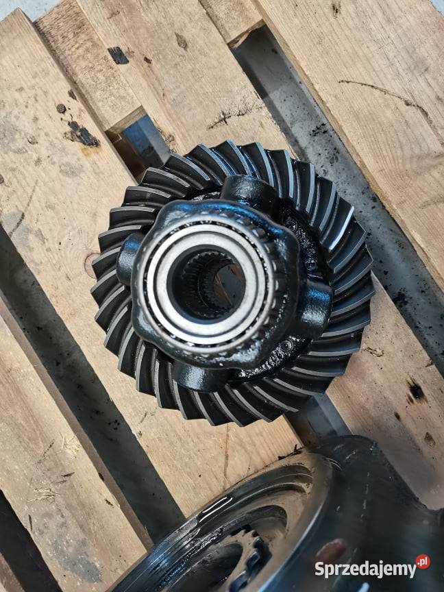 Przekładnia główna 7X31 JLG 4017 Wilkowo