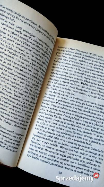 Hermann Hesse Dzieciństwo czarodzieja i inne biografie, wspomnienia Warszawa