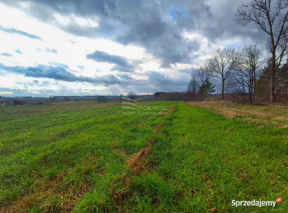Wyjątkowe działki zalewem w Janowie Podlaskim Sprzedaż