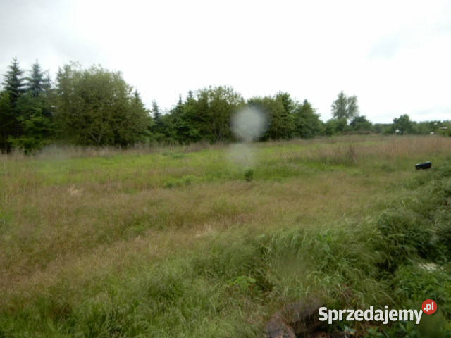 Syndyk sprzeda udział 18 Oborzany działki 240 3200m2