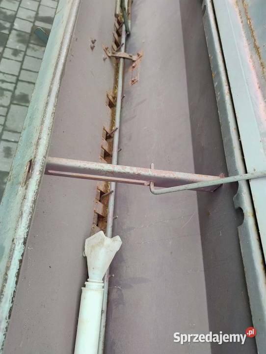 Siewnik poznaniak 27m lubelskie Krasew