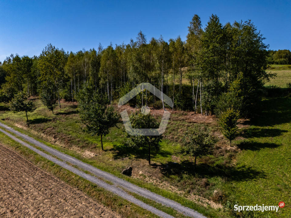 Działka lesie z WZ 34 ar 16 ar las utwardzona Zagorzyce