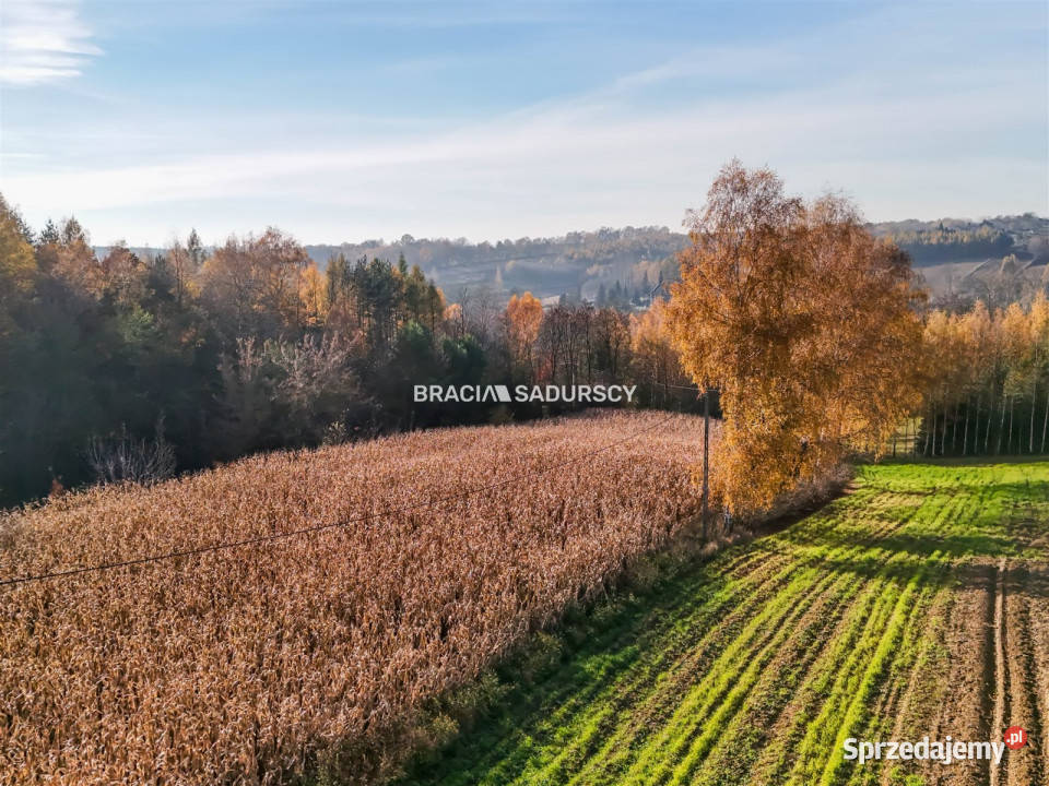 Grunt Przesławice 6000m2 sprzedam