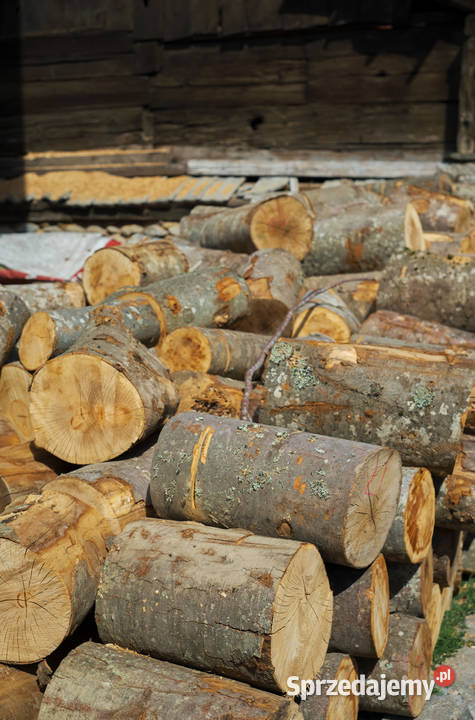 Drewno kominkowe i opałowe Transport Zgierz łódzkie