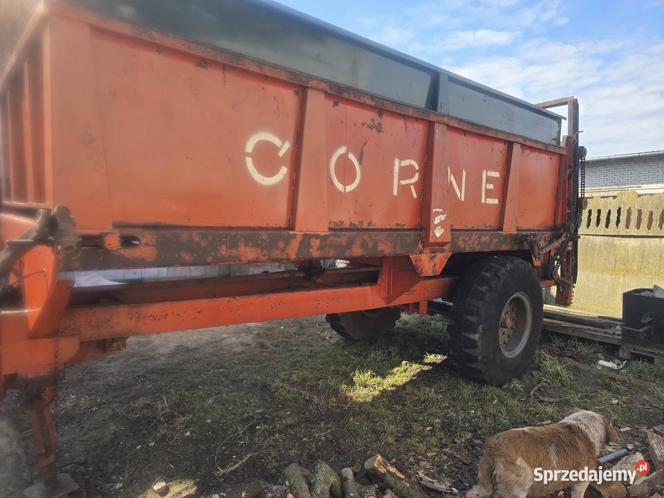 Rozrzutnik CORNE 8 ton Czyżew
