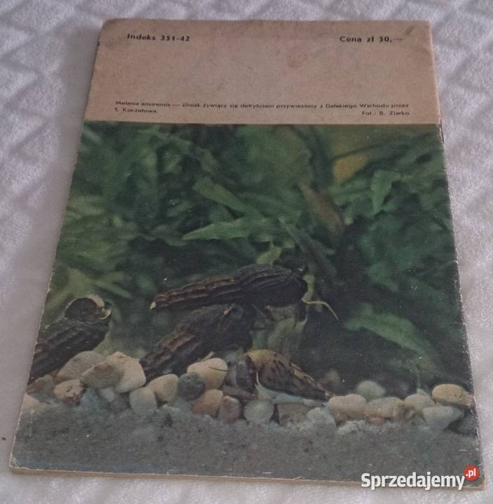 Akwarium 1983 4 76 Książka Rok wydania 1983 śląskie