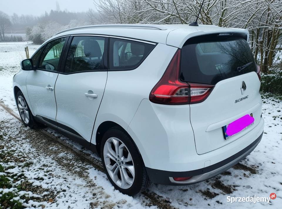 Grand Scenic 7osób 99 przebiegu Zamienię Ćmielów