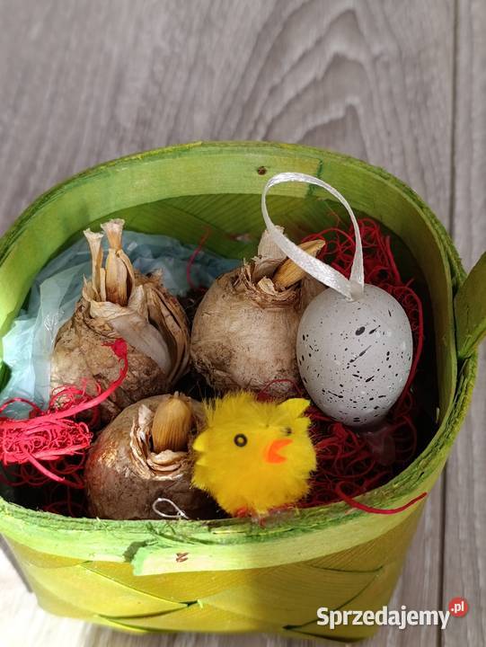 koszyczek wielkanocny Poznań