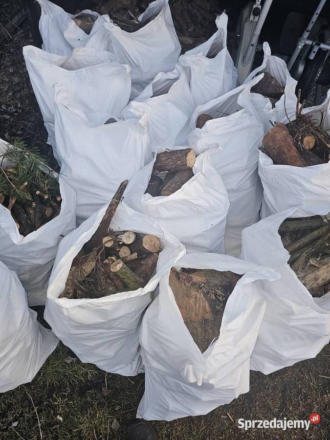 Sosna galeziowka pocięta Inowrocław sprzedam