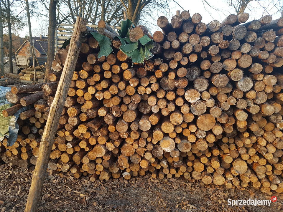 Stemple budowlane 240m 320m 4m i Opał Brzoza Drewno konstrukcyjne Milicz