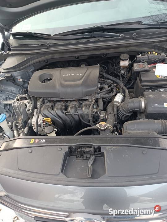 Hyundai Elantra Pierwszy Właściciel Salon Polska tempomat Brzóza Królewska