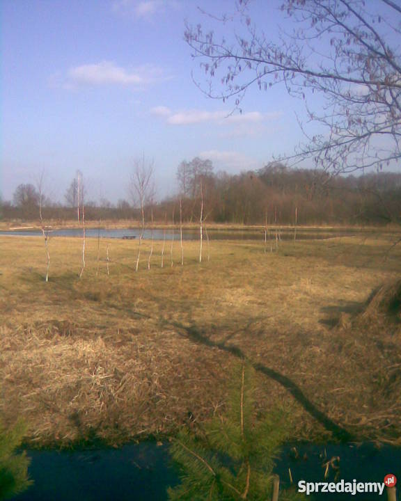 sprzedam gospodarstwo ziemię rolną mazowieckie Gilówka Dolna