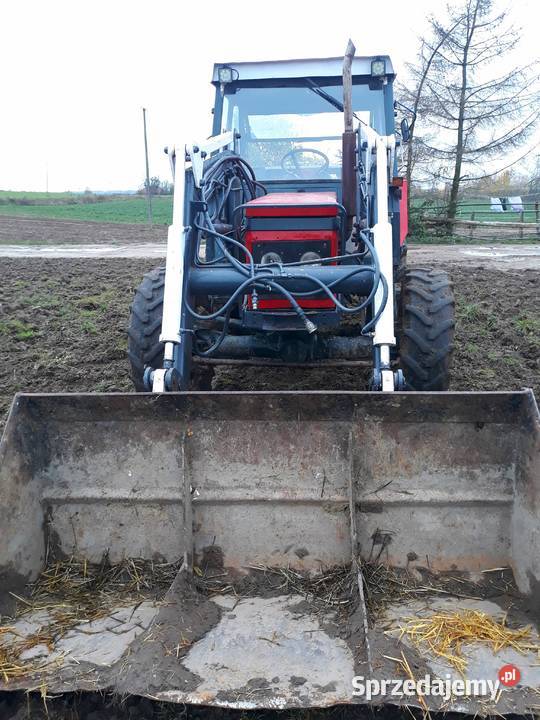 Zetor 5945 Wałdowo - Sprzedajemy.pl
