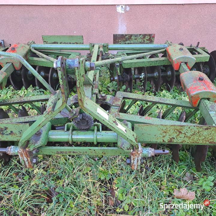 Talerzówka Eberhardt świętokrzyskie Piórków-Kolonia