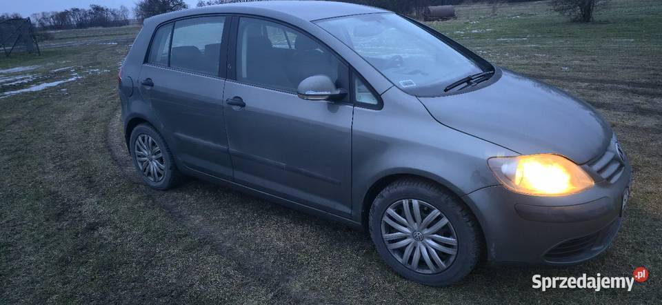 Volkswagen Golf Vplus 19 Tdi Tarnowskie Góry