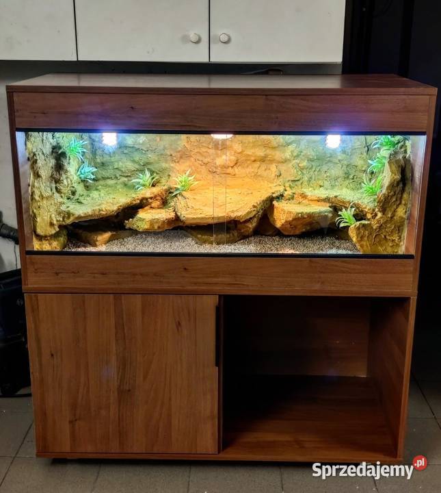 Terrarium agamy brodatej żółwia greckiego gekona Gdynia