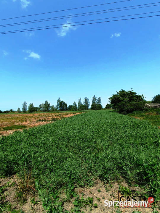 Groszkowo I Mierzeja Wiślana I działka pod pomorskie