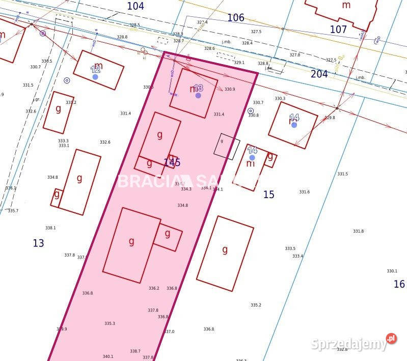 Ogłoszenie dom wolnostojący Małyszyce 200m2