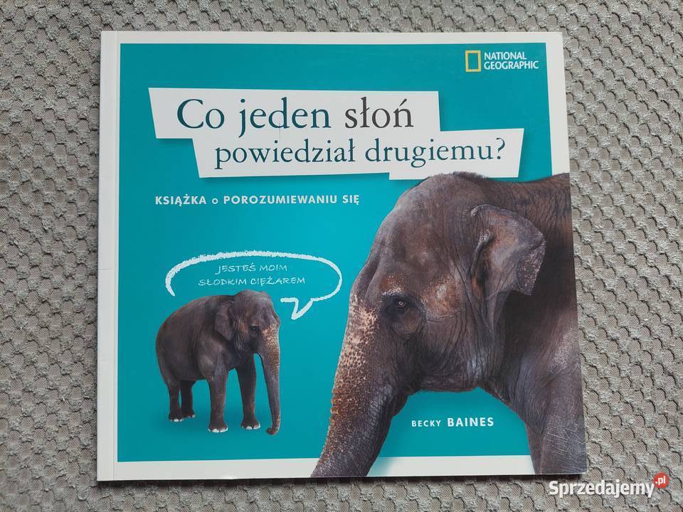 Co jeden słoń powiedział drugiemu Becky Baines małopolskie Kraków