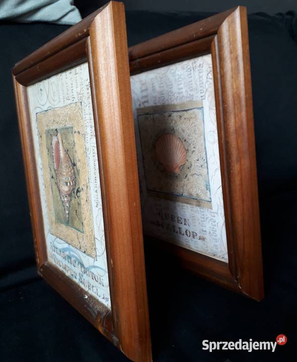 Obraz Shelly Hely wielkopolskie Koło