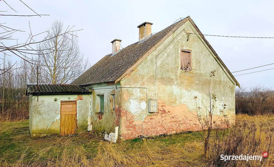 Dom wolnostojący do remontu Warmia 1774m2 Sprzedaż Krzekoty