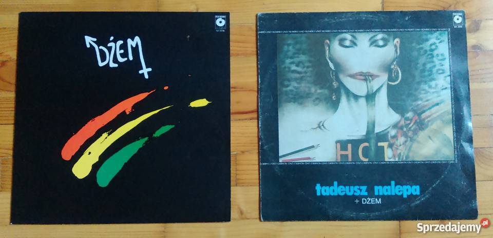 Płyty winylowe wyprzedaż kolekcji sprzedam