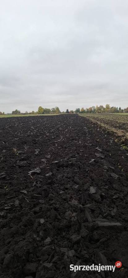 Agronom roto 535 pług obrotowy 5 skib zamiana lubelskie Klątwy