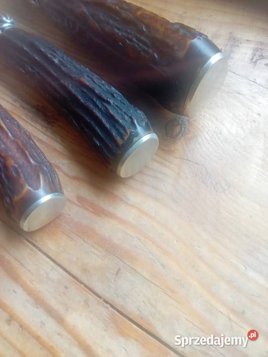 Zestaw do serwowania pieczeni Prusim