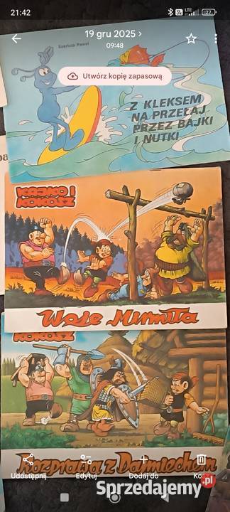 Kajko i Koko Polskie Garbów