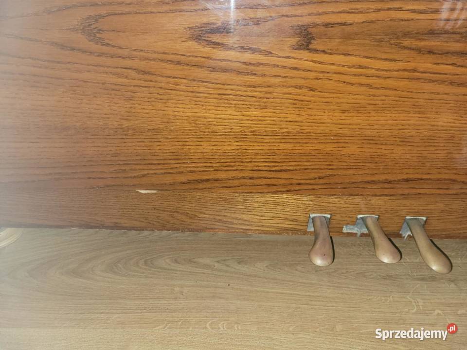 Muzyka w Twoim domu pianino Belarus czeka na