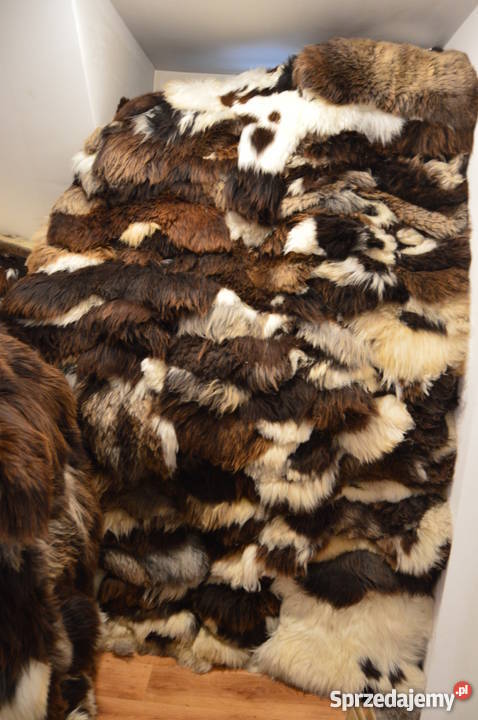 Tannery sheepskin poland sheepskin sheepskin Szaflary